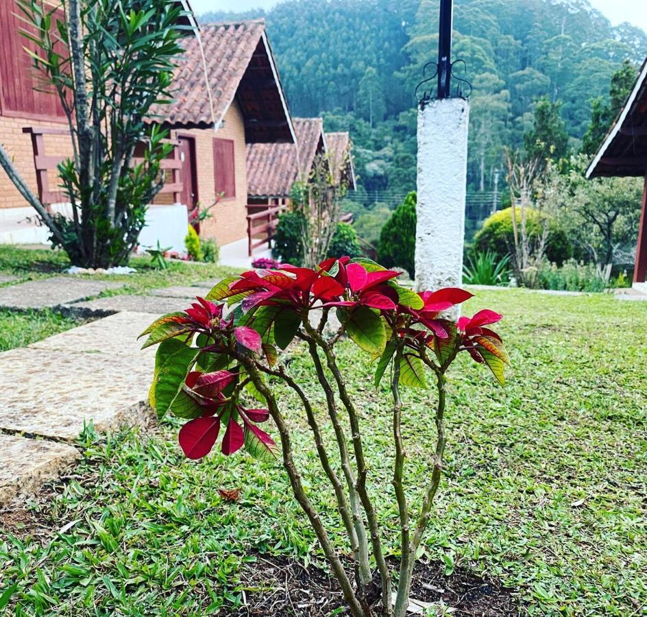 Chales Encantus Villa Monte Verde  Kültér fotó