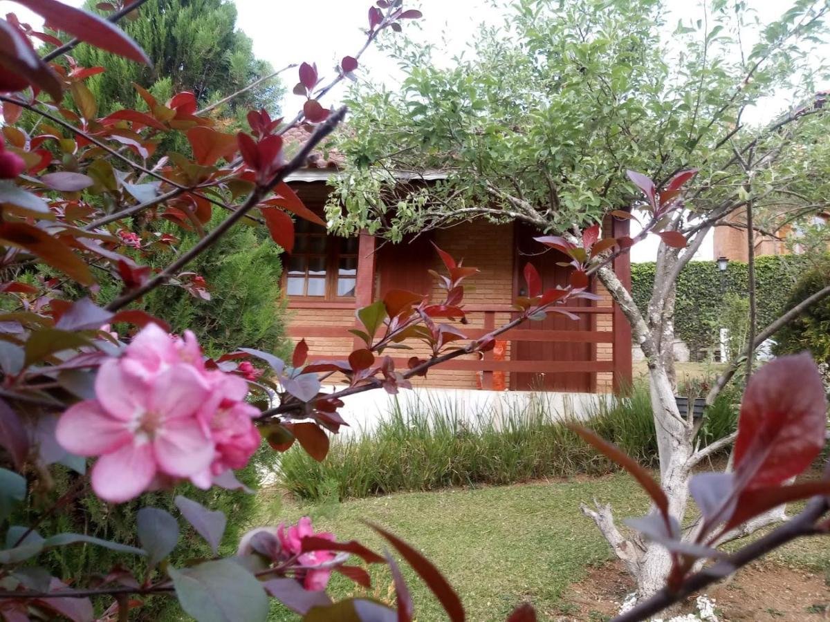 Chales Encantus Villa Monte Verde  Kültér fotó