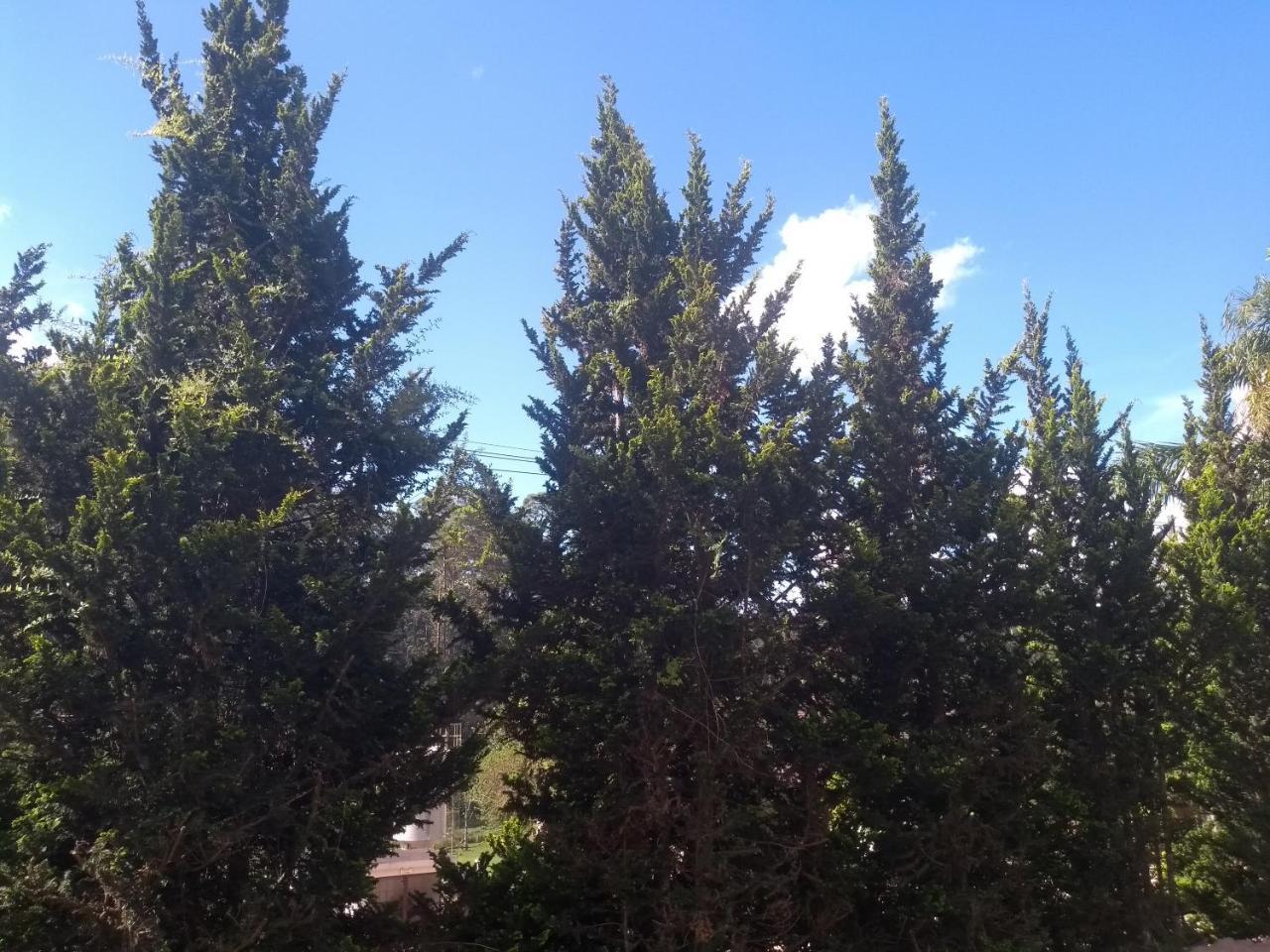 Chales Encantus Villa Monte Verde  Kültér fotó